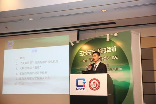 玉出東方 科技領(lǐng)航 ngtc 玉石 科技 文化 香港論壇成功舉辦