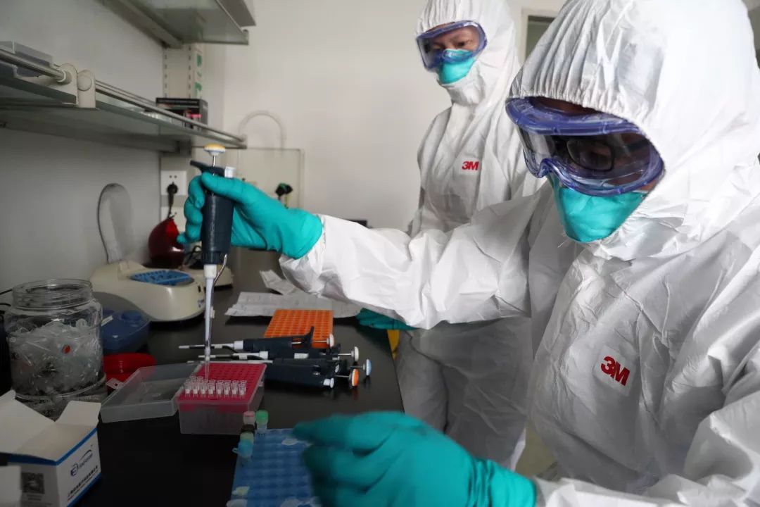 首次直擊深圳疾控中心病原生物研究所實驗室新冠病毒核酸檢測