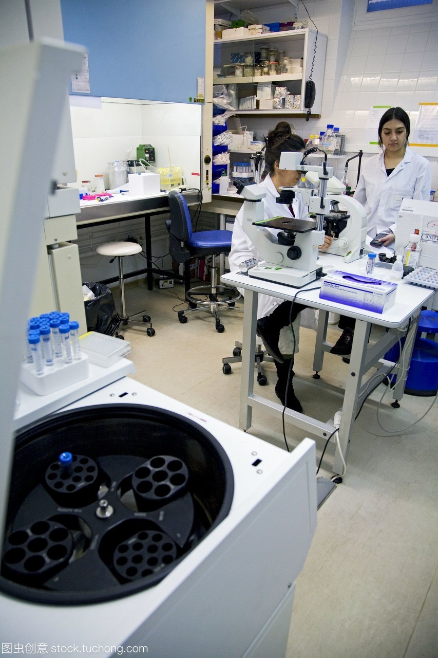 瘧疾疫苗的研究。研究人員檢查攜帶瘧疾的瘧原蟲的蚊子繁殖的生物醫學研究機構。這是一個抗瘧疫苗研究開發的一部分。拍攝在巴斯德研究所巴黎法國。