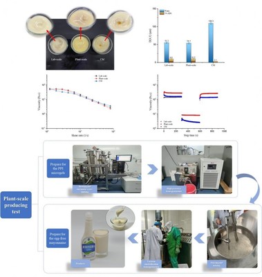 研究揭示常用沙拉醬配料對乳液品質特性的影響規律