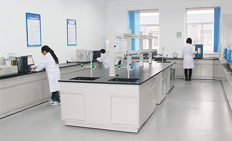 【郎鳳娥專題】燃煤工業鍋爐工程技術中心成果