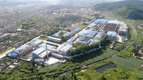 全力發展北藥種植 打造特色北藥小鎮