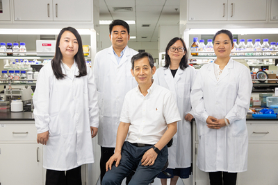 淀粉人工合成記