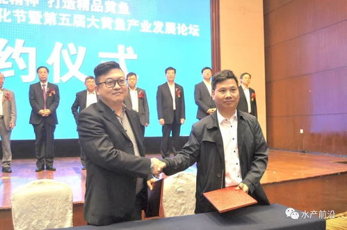 今年最火的魚之一,年產量或超20萬噸 大黃魚之父 助陣,300人齊聚臺州,只為發展這條國魚 養殖