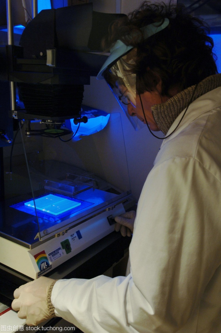 禽流感的研究。科學家研究凝膠電泳的結果用于禽流感病毒的基因組序列。病毒的片段的DNA脫氧核糖核酸被添加到應用凝膠和電流。這使核苷酸堿基沿著凝膠分離根據他們的大小。在過程運行基地作為樂隊出現在凝膠?；乜梢宰x取的序列確定的病毒株。病毒株H5N1可以被吸入傳染給人類受感染的鳥類的糞便也可以是致命的。人們擔心它可能變異成一種能在人與人之間傳播可能導致大流行。法國巴斯德研究所拍攝。