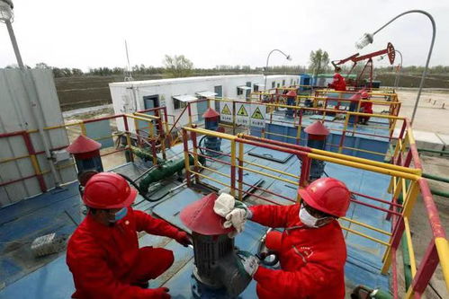 中國(guó)石油遼河油田曙采廠 將突破瓶頸的核心技術(shù) 變成 專利