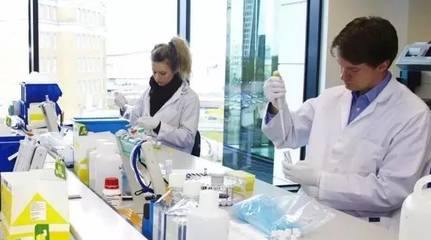 嘉實多、殼牌、美孚送到德國的檢測報告.太欺負人了