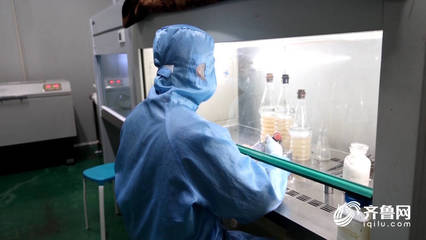 一家一個小工廠!“菌中燕窩”金耳在德州實現(xiàn)工廠化養(yǎng)殖,智慧菇房助農(nóng)增收