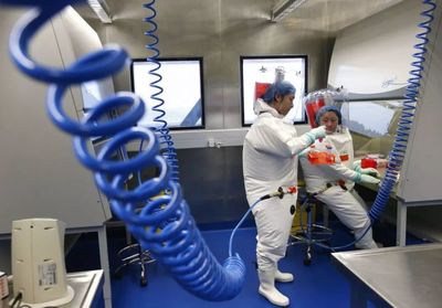 漩渦中的武漢病毒研究所 科研使命與爭議交織